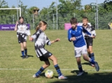 S.K.N.W.K. JO13-1JM - Lepelstraatse Boys JO13-1 (competitie) 2024-2025 (3e fase) (71/153)